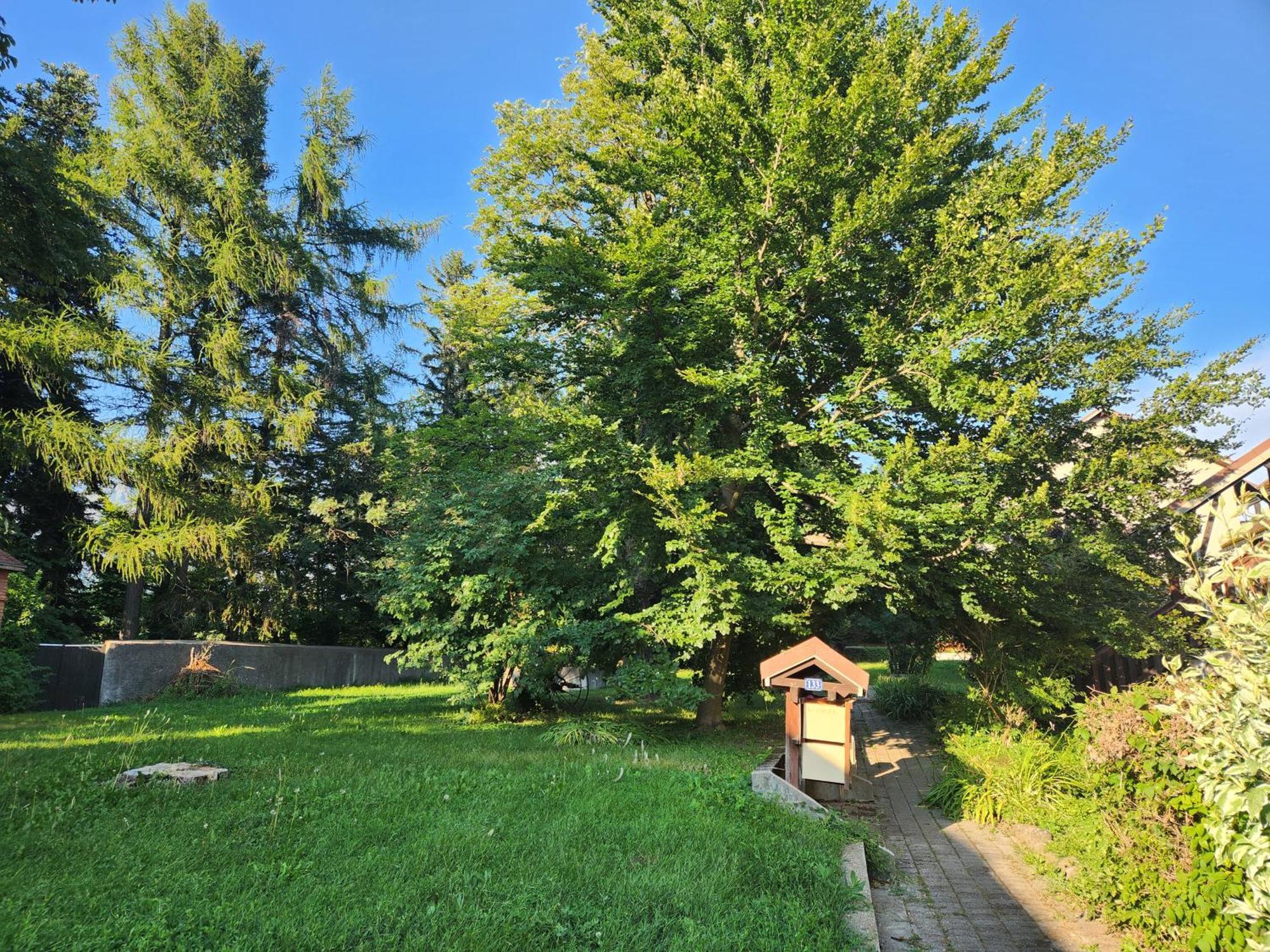 Appartement T3 Avec Jardin Proche Village Saint-Bonnet-en-Champsaur Exteriör bild