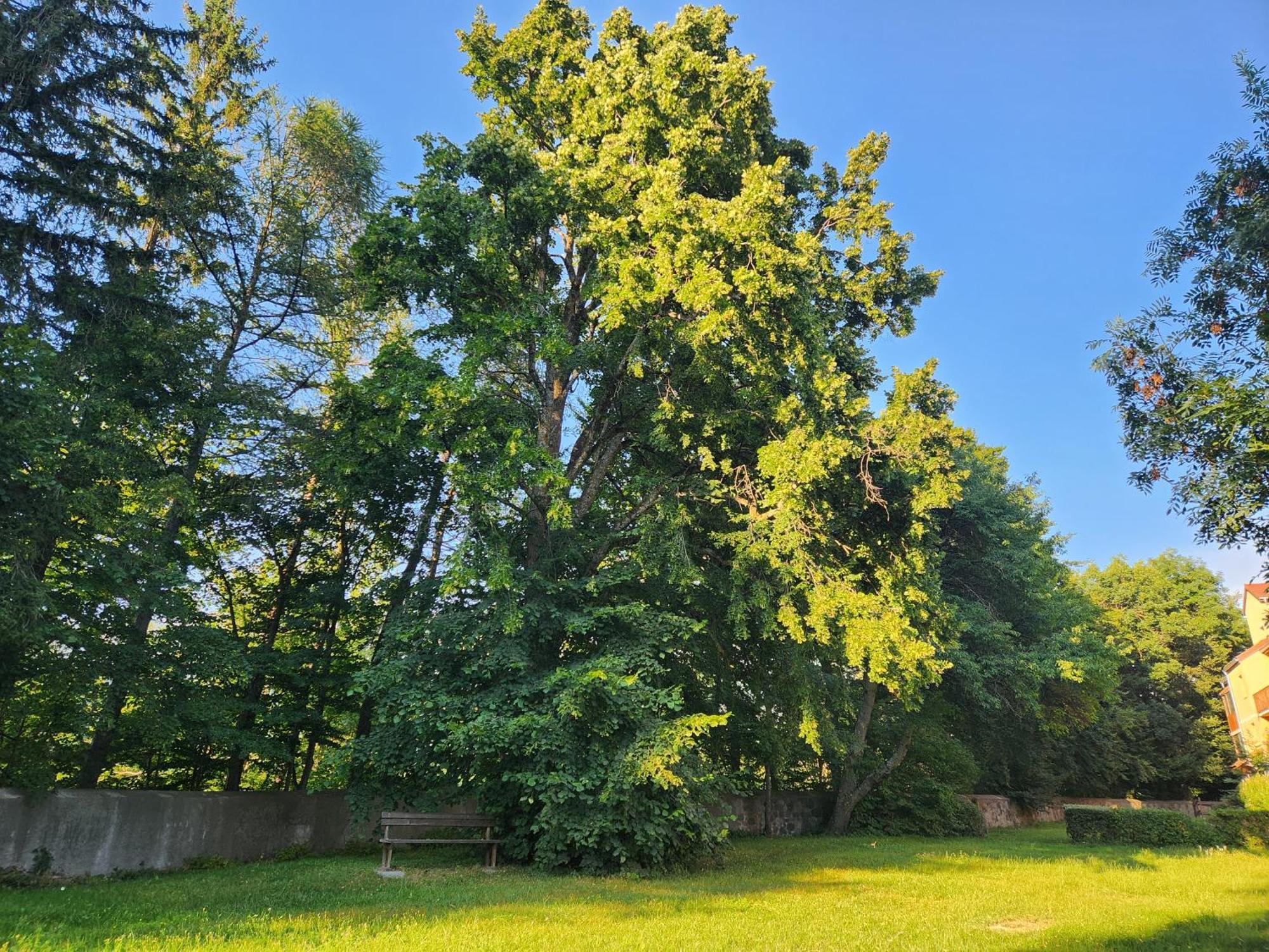 Appartement T3 Avec Jardin Proche Village Saint-Bonnet-en-Champsaur Exteriör bild