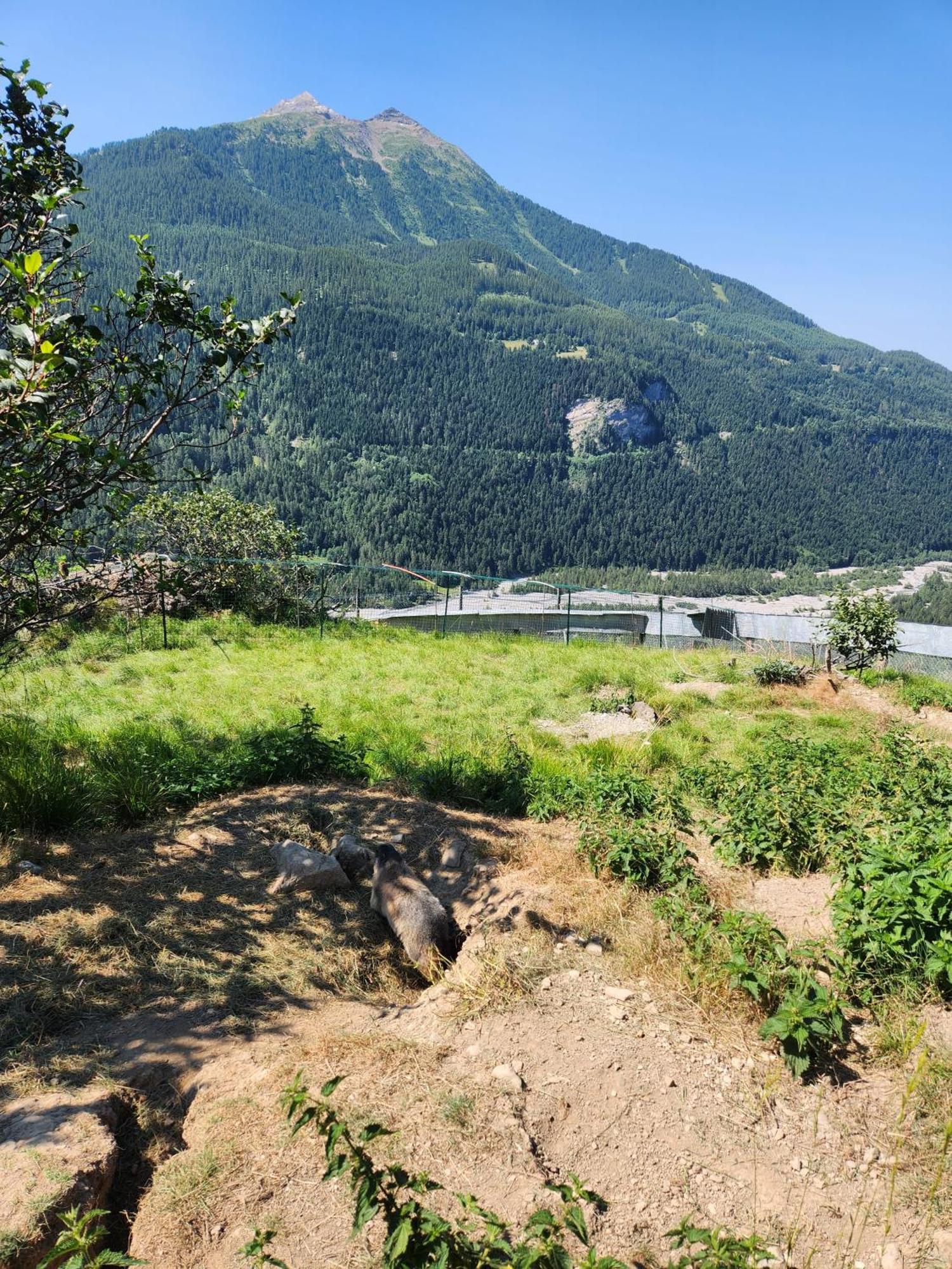 Appartement T3 Avec Jardin Proche Village Saint-Bonnet-en-Champsaur Exteriör bild